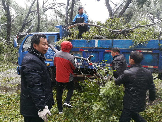 湖北科技信息专修学院教职工抗击冰冻雨雪灾害
